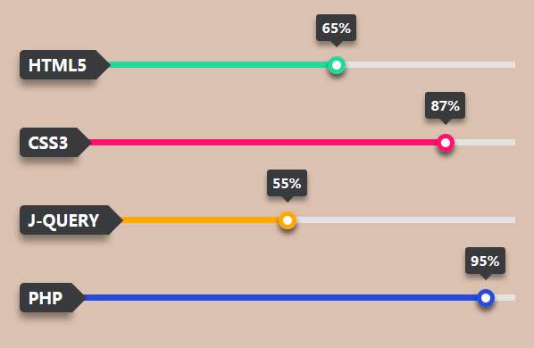 纯css3个人技能进度条动画样式