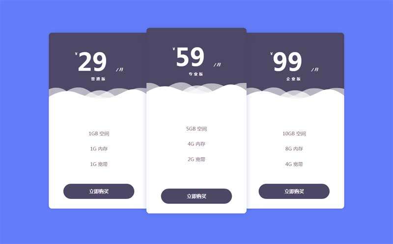 精美的套餐价格表css3布局