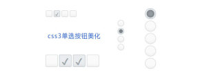 好看的CSS3单选复选按钮美化样式