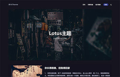 WordPress暗黑极客自媒体资讯博客主题Lotus1.1