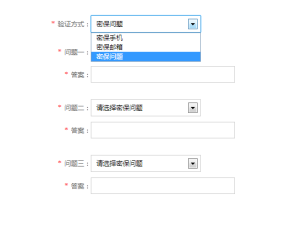 js控制select选中显示不同表单内容select下拉菜单特效