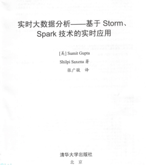 实时大数据分析 基于Storm Spark技术的实时应用 中文PDF