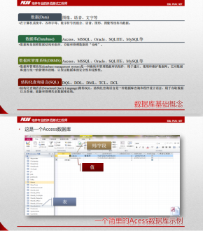 SQL注入基础1 中文PDF