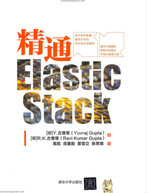 精通Elastic Stack