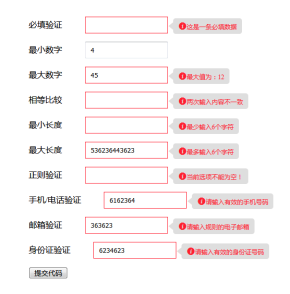 原生js简单表单验证插件