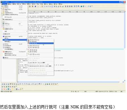 Android NDK环境搭建及遇到的问题详解 中文