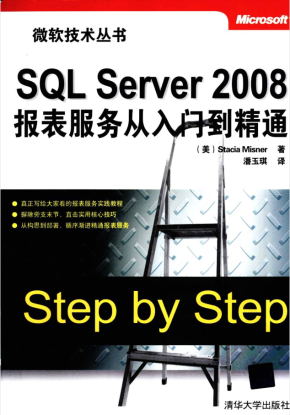 SQL Server 2008报表服务从入门到精通