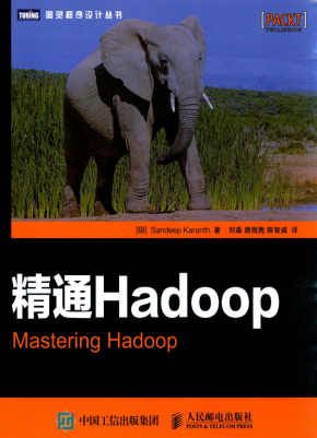 精通Hadoop （卡伦斯著） 中文pdf