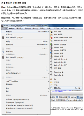 Flash Builder操作指南 中文