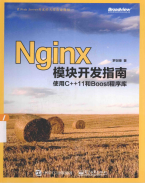 Nginx模块开发指南:使用C++11和Boost程序库 pdf