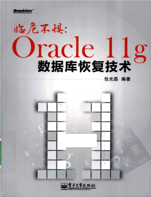 临危不惧：Oracle 11g数据库恢复技术