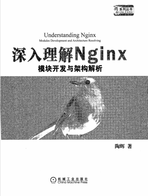 深入理解Nginx 模块开发与架构解析 PDF