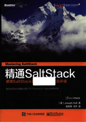 精通SaltStack 完整版 中文pdf