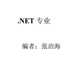 .NET专业数据库编程实践