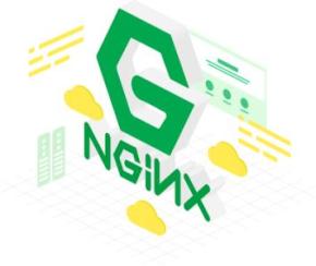 Nginx辅助器 v1.0.5.1