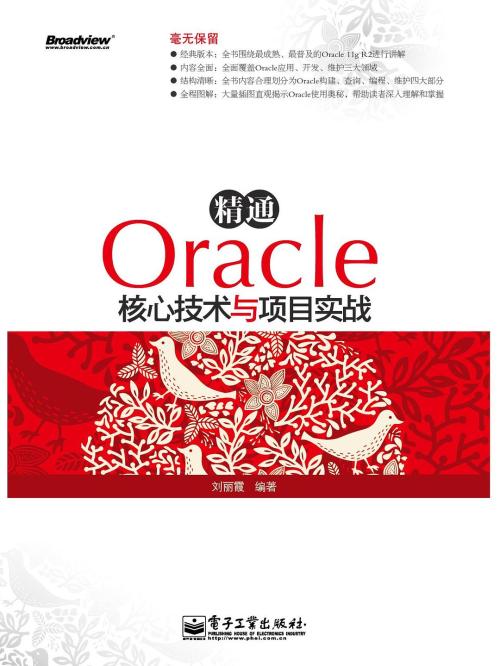 精通Oracle核心技术与项目实战