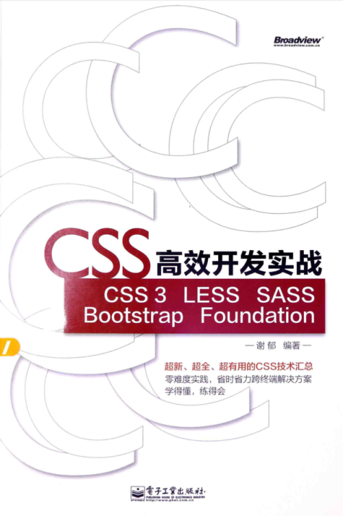 CSS高效开发实战