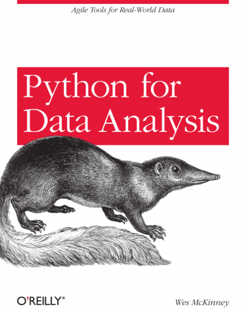 Python for Data Analysis（Python数据分析） 英文pdf