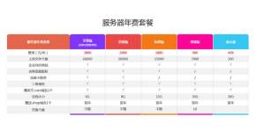 漂亮的年费套餐表格样式