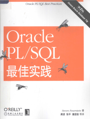 Oracle PL/SQL最佳实践 第二版