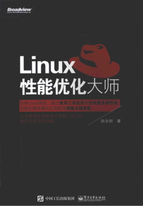 Linux性能优化大师 完整PDF