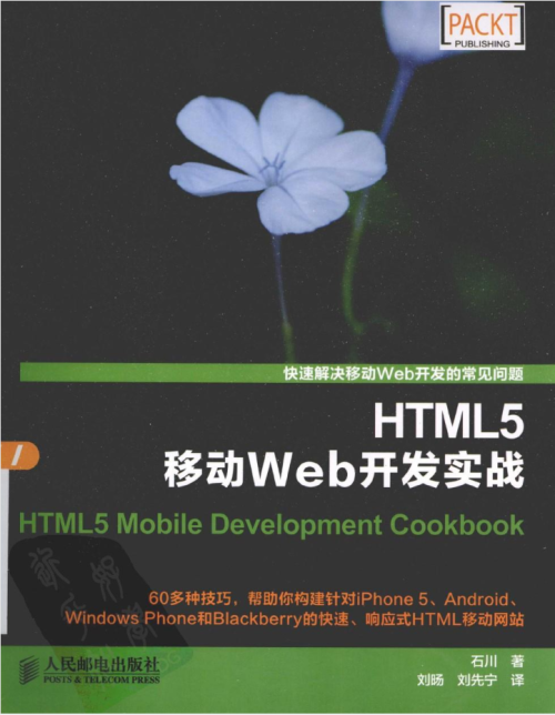 HTML5移动Web开发实战