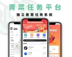 （青菜任务）自助悬赏任务平台系统整站源码H5版带分享推广