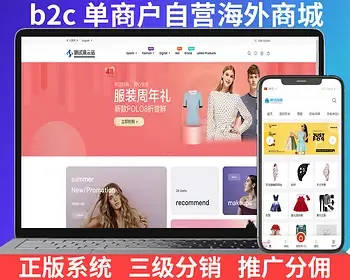 b2c单商户自营商城diy自定义装修海外电商系统开发多语言外贸商城包搭建一条龙