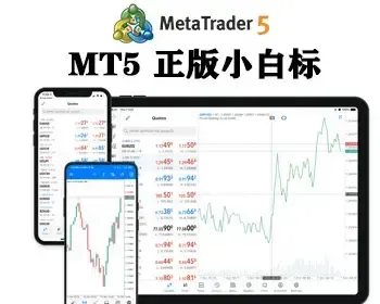 MT5源码MT5搭建MT5软件MT5白标搭建MT4交易软件CRM源码MT5源码MT5白标系统搭建