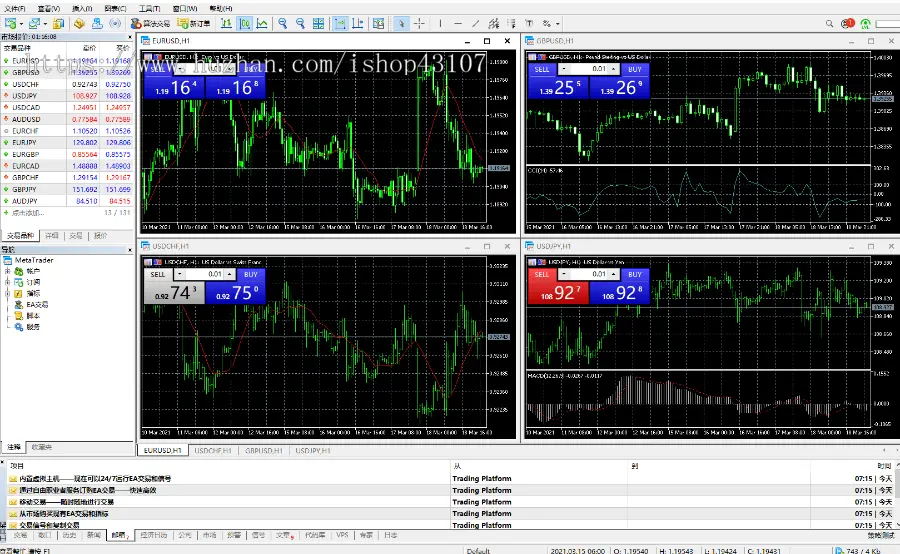 外汇MT5正版小白标 搭建 Trader 5 