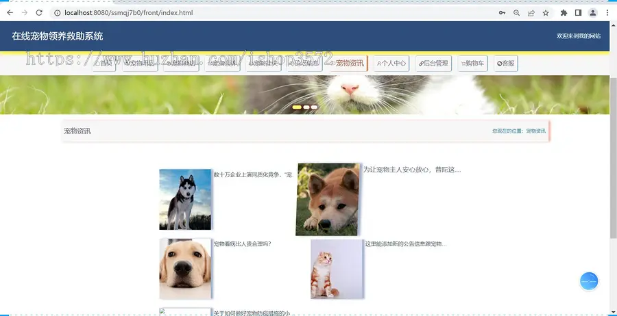 宠物基于SSM+SpringBoot+MySQL+Vue前后端分离的宠物领养救助系统源码