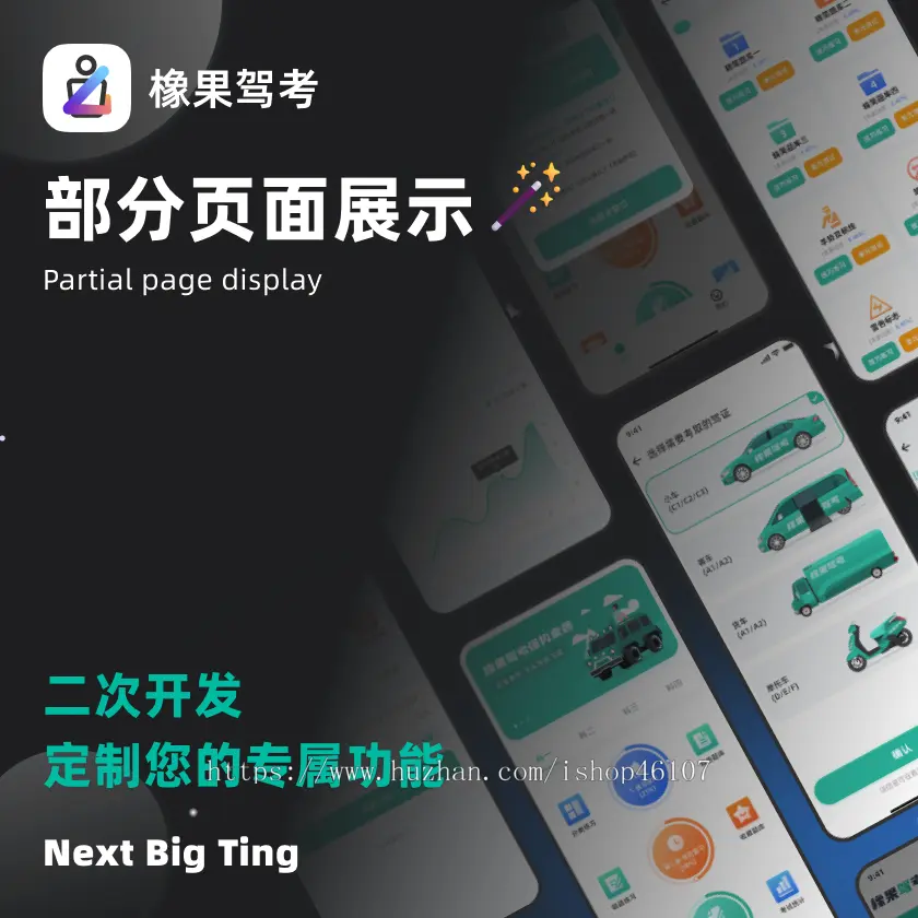 全类型车型驾考系统/小程序APP/源码/软件开发/接受定制