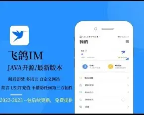 原生即时通讯系统-即时通讯IM|USDT充值提现|自定义网址|多语言|禁言|阅后即焚|