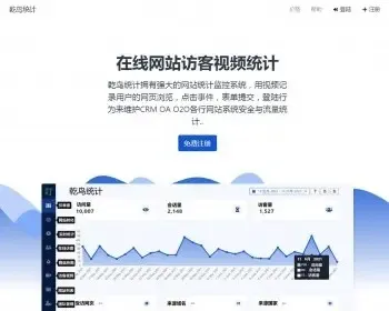 站长网站统计系统， 用视频记录访客的网页浏览 点击事件 表单提交 网站热图