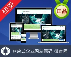 医疗器械多语言网站源码 中英文企业网站 html5 带手机版带后台