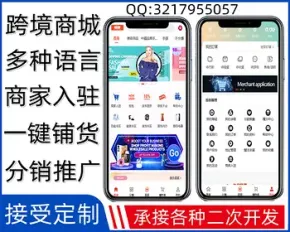 【十种语言】多商户多语言跨境电商系统,商家入驻,一键铺货,商家独立后台,开源可二开