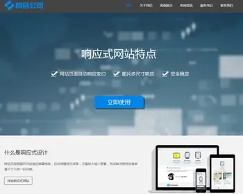 （自适应手机版）互联网公司企业pbootcms网站模板 IT网络科技建站公司网站源码