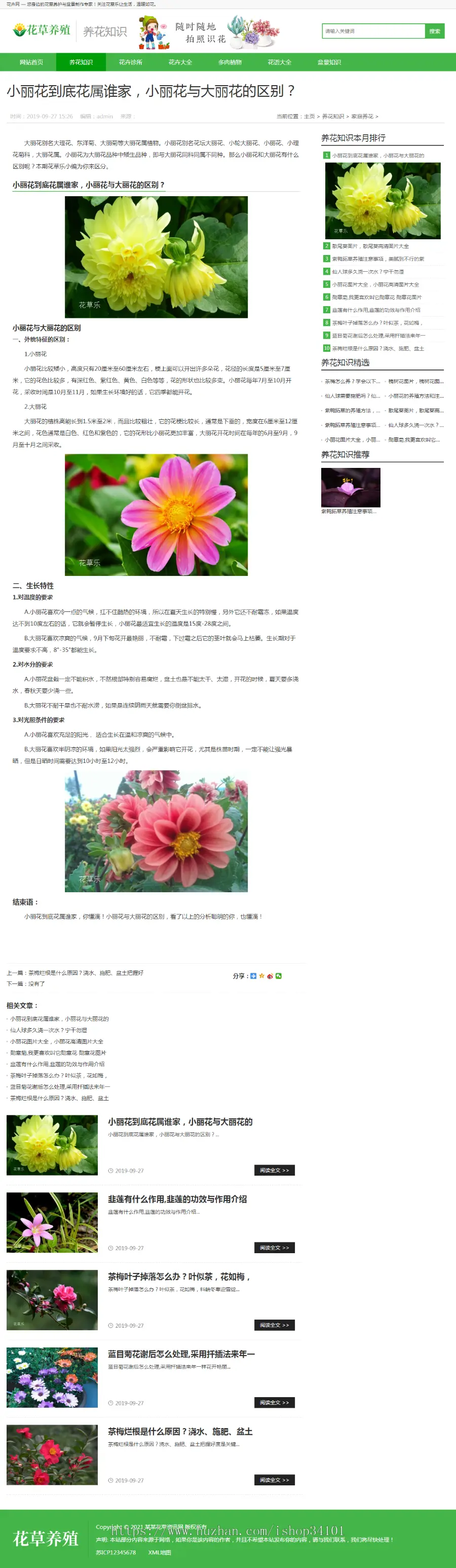 （带手机版数据同步）花卉养殖新闻资讯类织梦模板 绿色花草植物网站模板