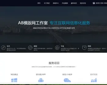 高端网站建设网络设计互联网信息化服务类网站织梦模板软件开发网络工作室网站（带手机