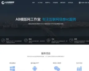高端网站建设网络设计互联网信息化网站织梦模板 软件开发带手机版