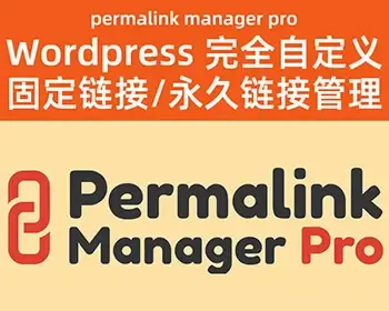 Wordpress完全自定义固定链接管理Permalink Manager Pro 简体/繁体