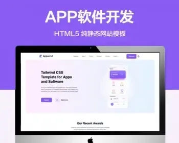推荐 （自适应手机端）APP开发网站软件公司纯静态网站模板