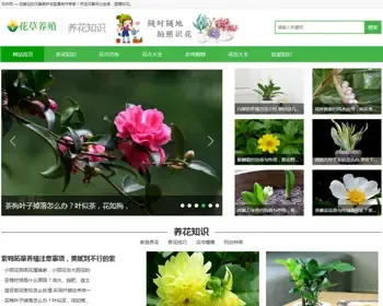 （带手机版数据同步）花卉养殖新闻资讯类织梦模板 绿色花草植物网站模板