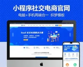 微信公众号小程序社交电商互联网建站官方企业展示型网站dedecms织梦模板 带手机版