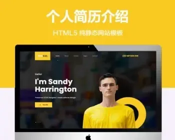 （自适应手机端）网页版个人简历纯静态网站模板 HTML5设计师网站源码