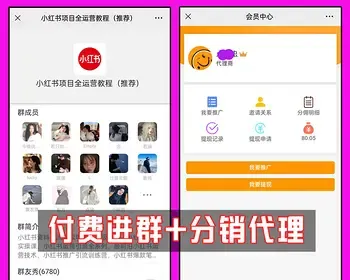 付费进群交友、学习、讨论均可操作，带登录带支付整站可直接运营源码