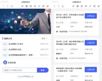 【作者发布】小微企业年报服务系统/小微服务助手系统