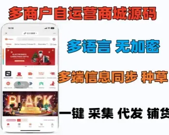 运营级多商户多语言商城系统源码支持一键铺货采集多语言外贸商城开源可定制支持PC小程