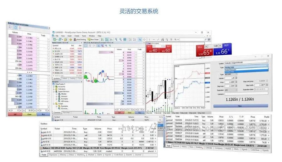 搭建维护外汇软件mt5搭建维护正版主标白标搭建外汇MT5软件系统app软件系统源码