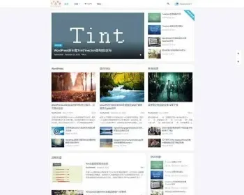 ★WordPress主题Tinection主题的重构版，商品系统，可作为虚拟物品售卖或下载资源付费